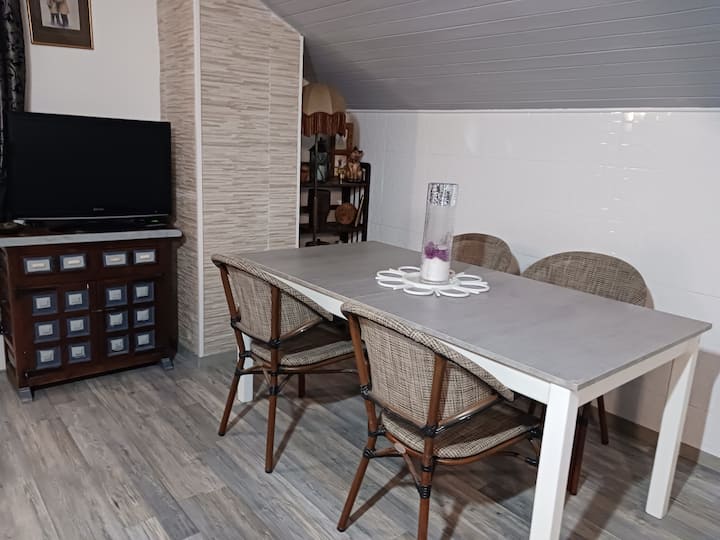 Appartement Dans Maison - Thonon-les-Bains