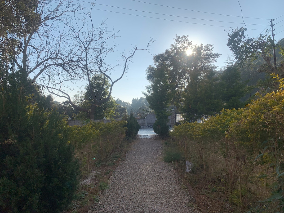 A gravel pathway meanders through a garden bordered by shrubs and trees, leading towards a water body in the distance. Sunlight filters through the branches, creating a serene atmosphere, with a clear sky visible above.