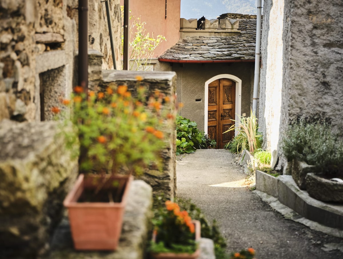 A narrow stone pathway leads towards a welcoming wooden door framed by lush greenery. Potted flowers in warm tones add color alongside the path, while rustic stone walls create a cozy and inviting ambiance.