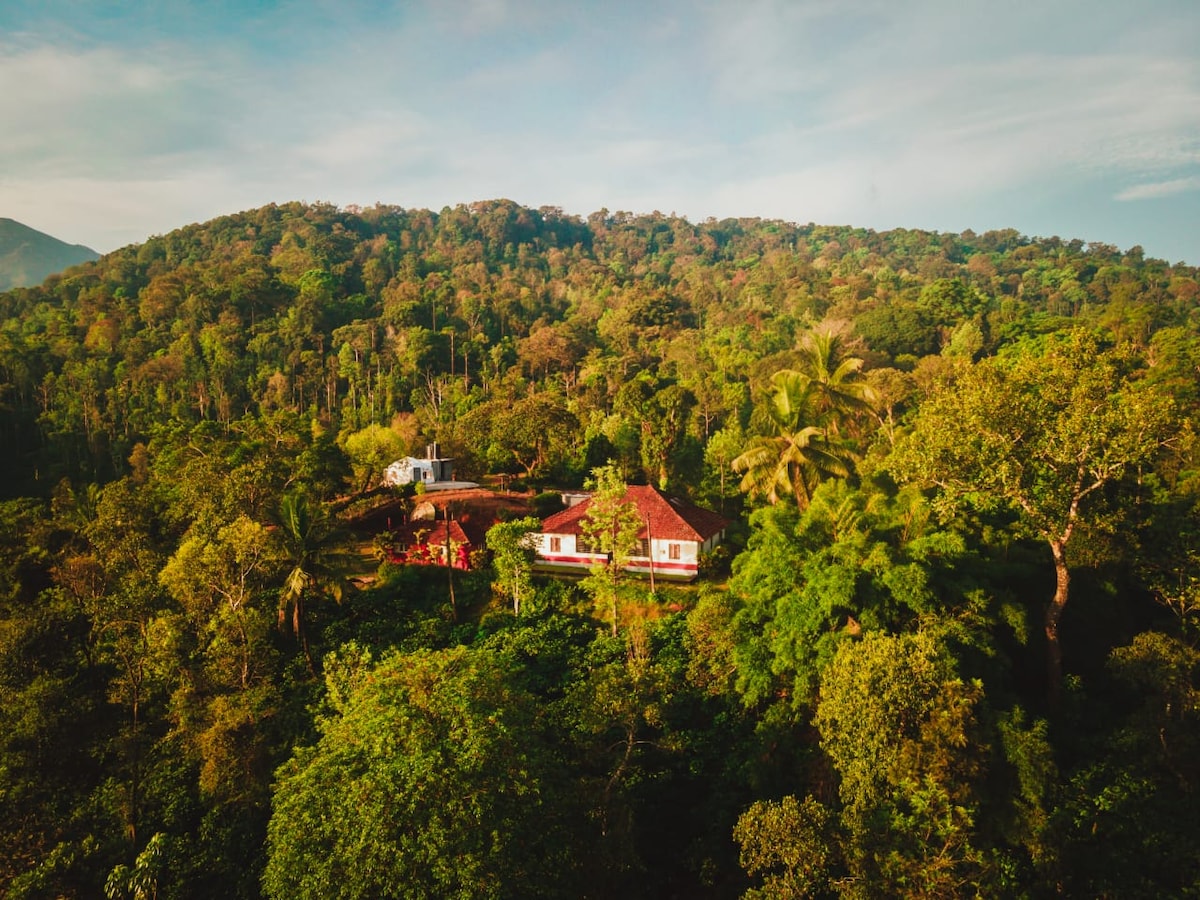 The hillside location showcases a vibrant green landscape filled with dense trees and foliage. A red-roofed structure is nestled among the greenery, reflecting a harmonious connection with nature. Surrounding mountains can be seen in the distance beneath a clear sky.