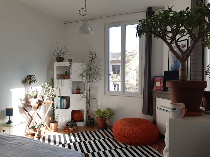 Algunas plantas para mimar durante el invierno...