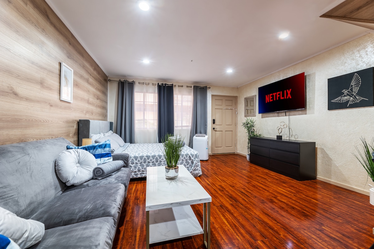 A spacious studio is displayed, featuring a comfortable gray sofa bed and a queen-size bed with decorative pillows. A large flat-screen TV shows the Netflix logo. The warm wood floors and light-colored walls create a cozy ambiance, while greenery adds a touch of nature.