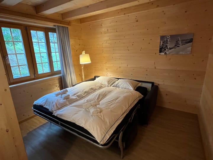 Ორადგილიანი გასაშლელი დივანი სასტუმრო ოთახში