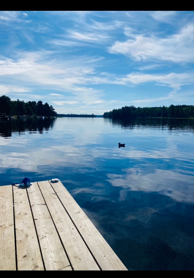 A wooden dock extends over a calm lake, reflecting a clear blue sky with scattered clouds. A solitary duck swims in the distance, surrounded by lush green trees lining the shoreline.