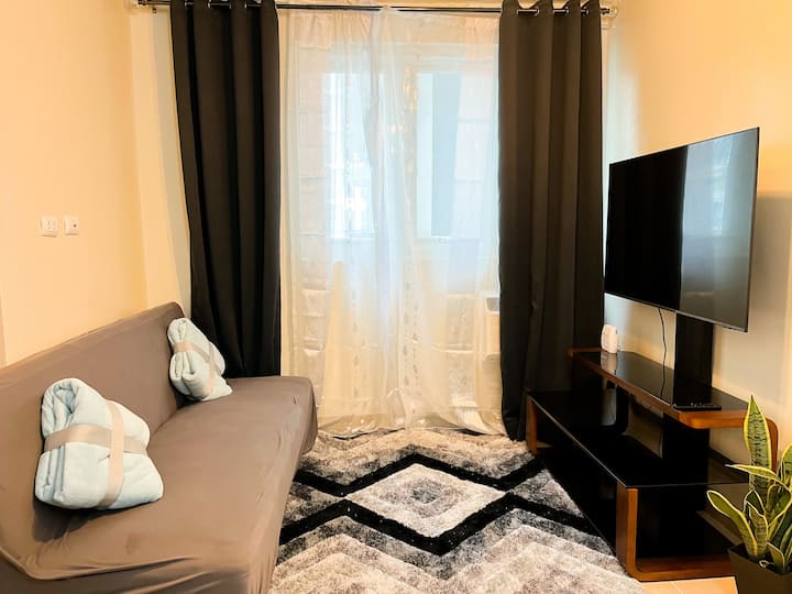 Living room with sofa bed. Netflix and chill in this area. 