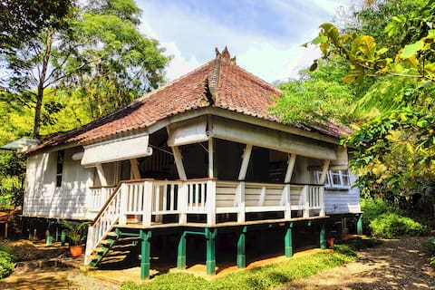 Dharma Residence river side cabin