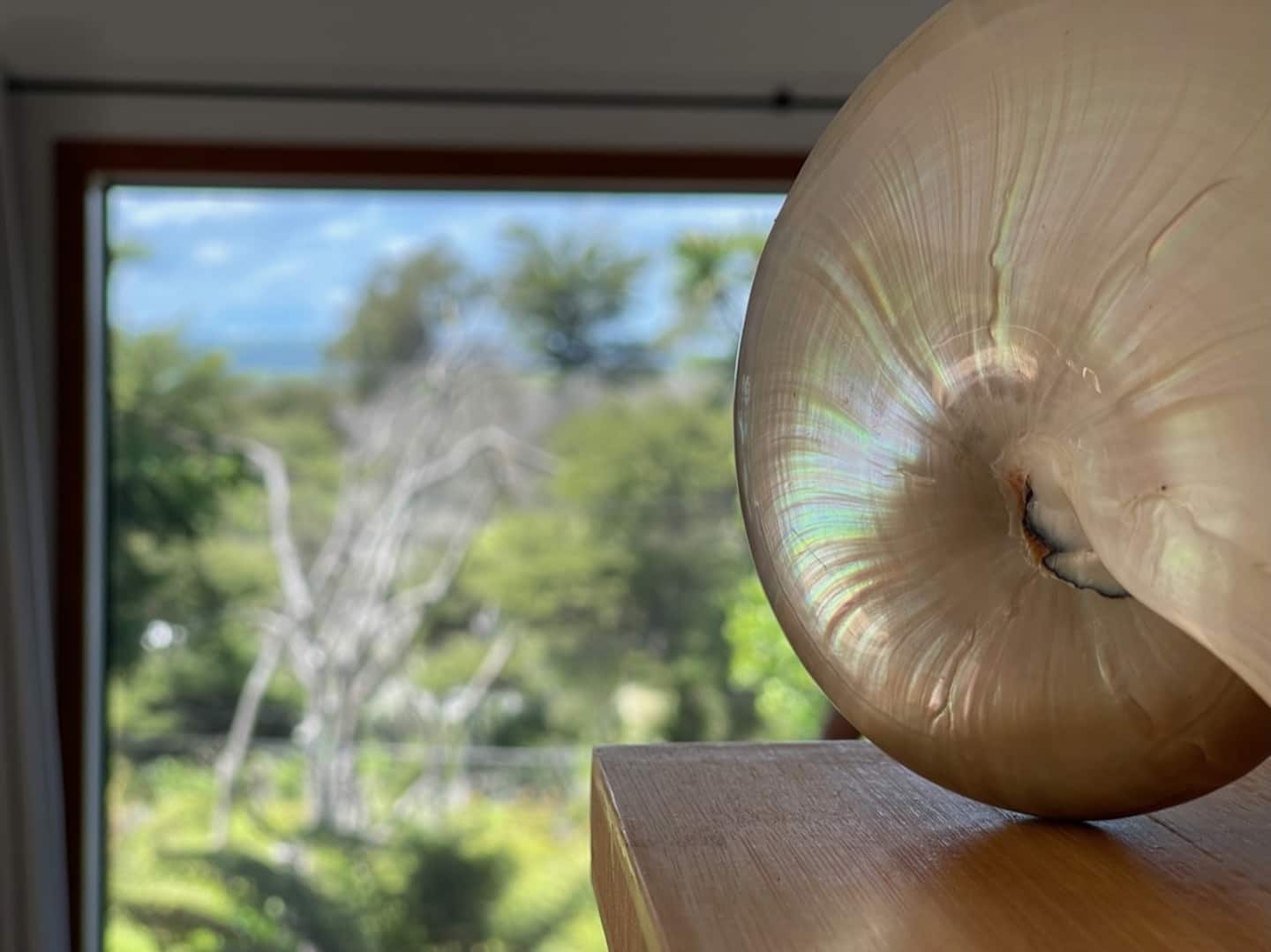 Atarau Beach Retreat 3