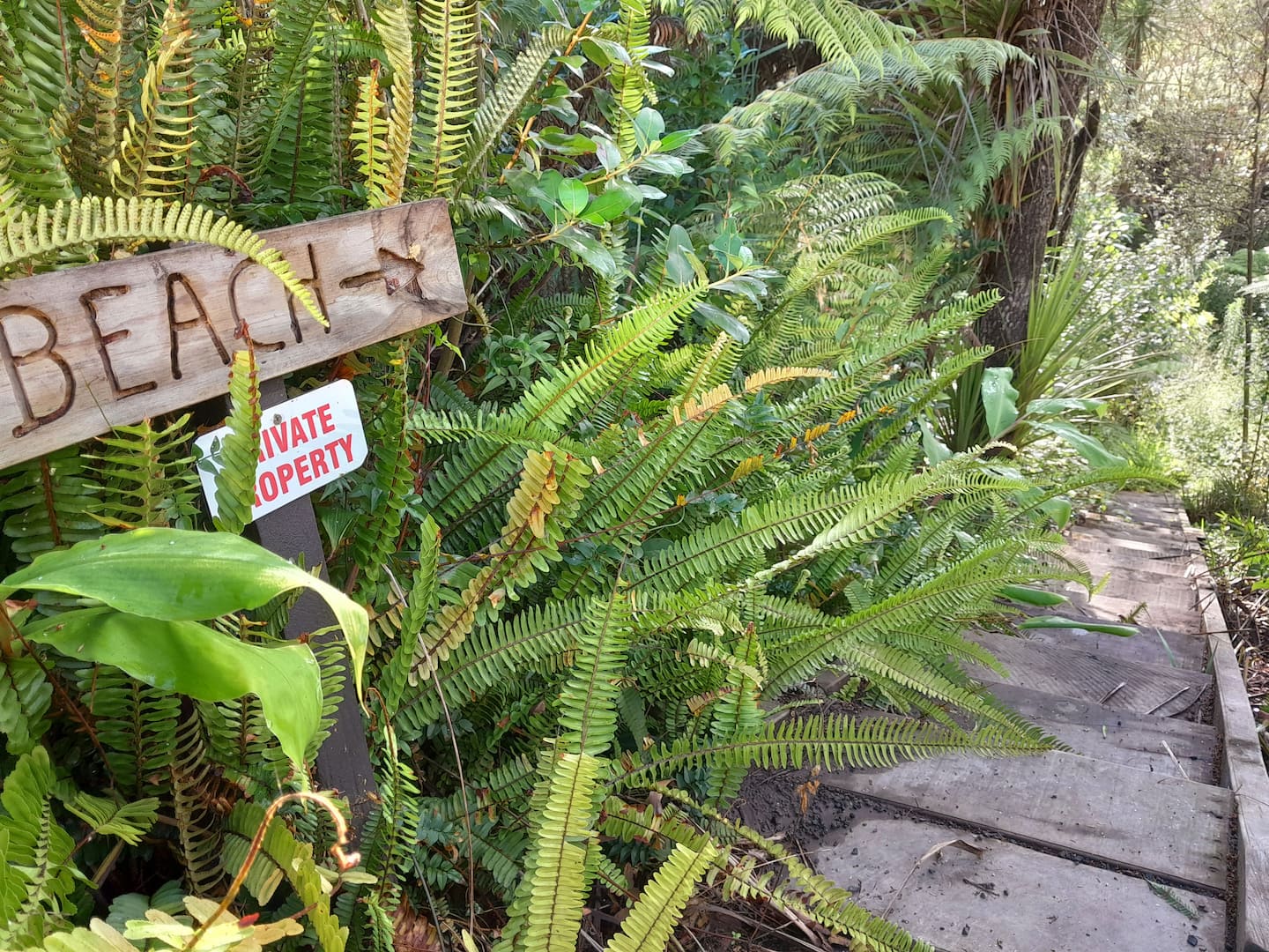 Atarau Beach Retreat 5