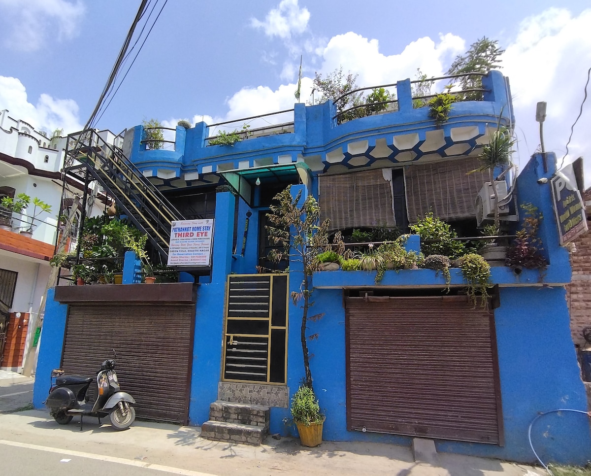 A vibrant blue building features multiple levels, with an accessible staircase leading to a rooftop garden adorned with various plants. The ground floor is marked by large shuttered entrances, and a classic scooter stands parked along the side of the road.