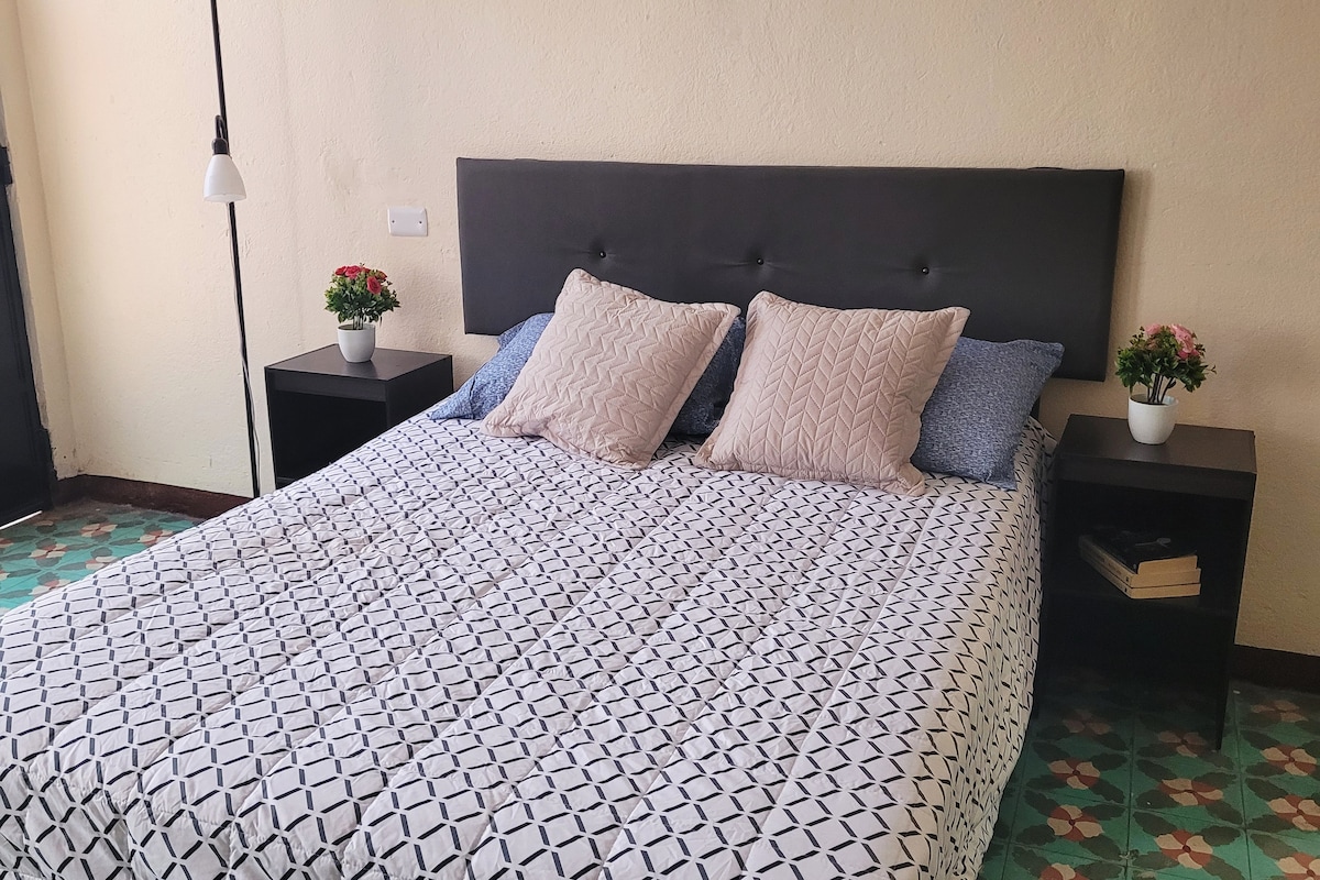 A spacious bed is adorned with patterned bedding and complemented by two decorative pillows. Nightstands with small potted plants flank either side, adding a touch of greenery to the room. The floor features a distinctive tile pattern, contributing to the room's character.