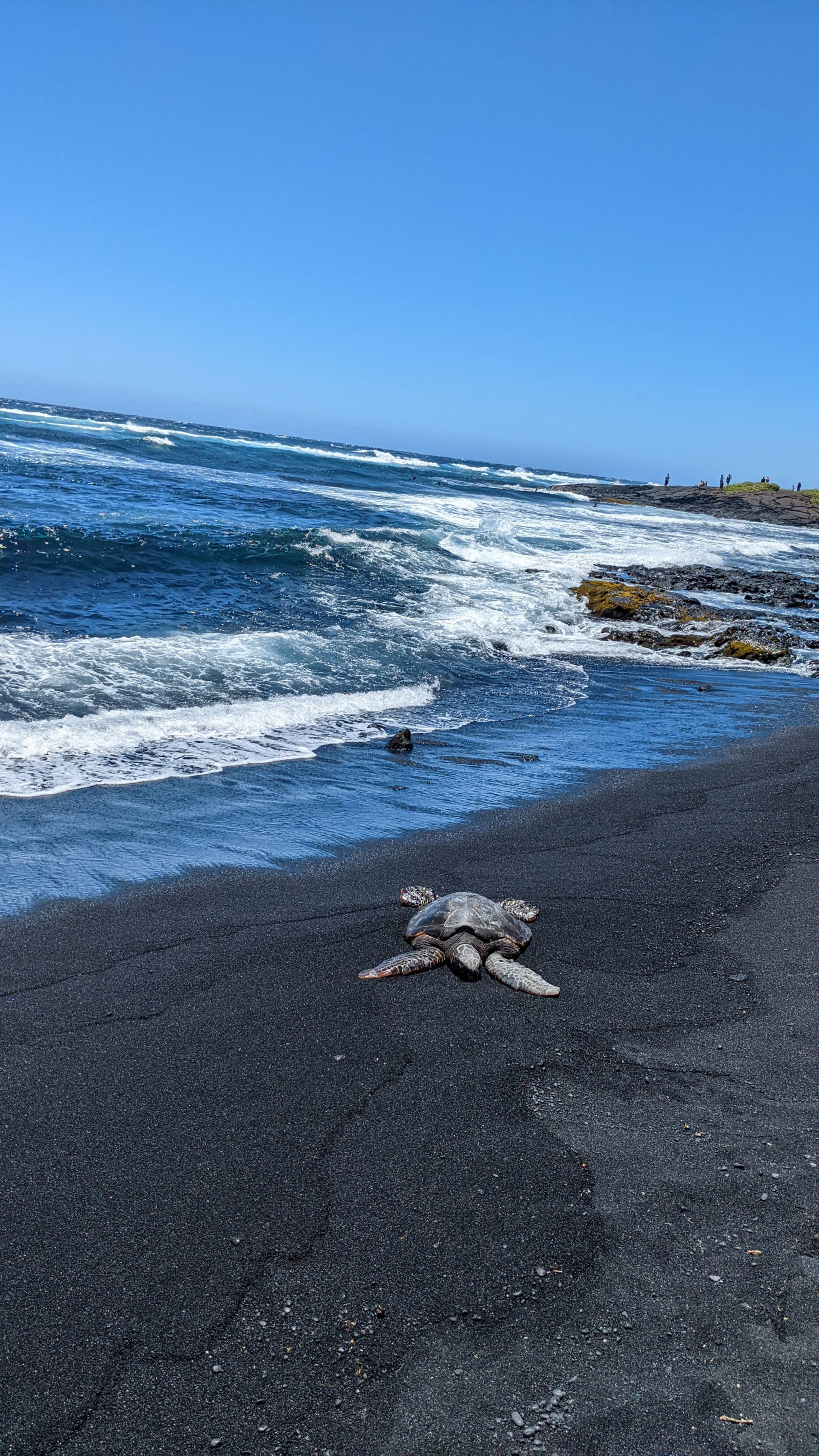 Local Living Gem: 5 Mins to Nat'l Park & Hilo Vibe - Photo 20