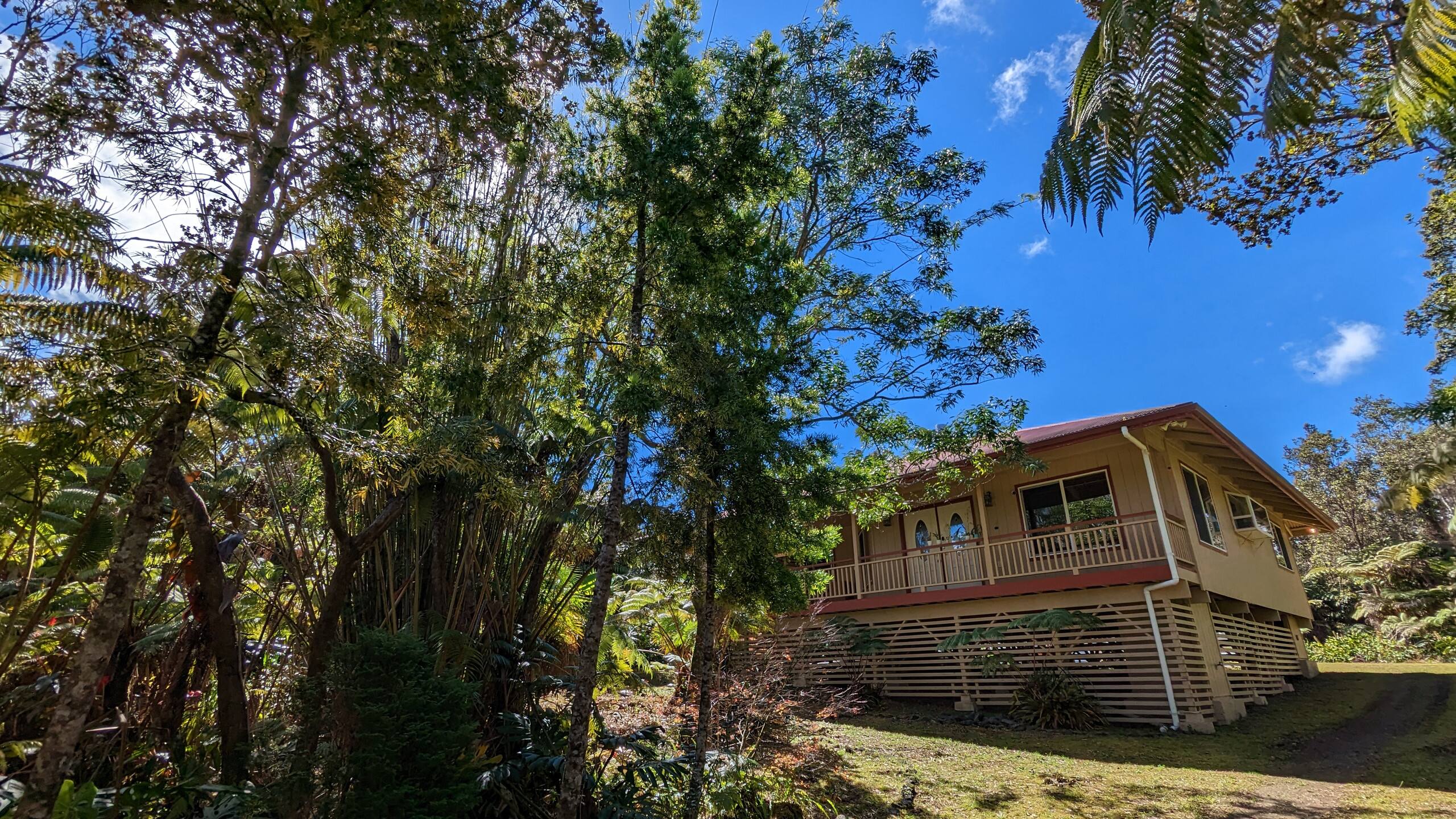 Local Living Gem: 5 Mins to Nat'l Park & Hilo Vibe - Photo 15