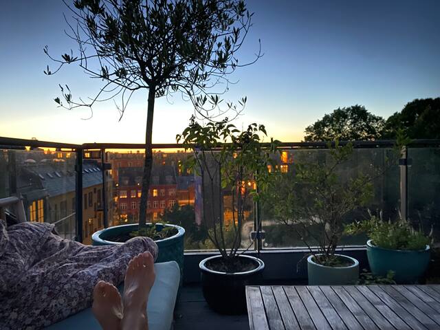 170 m2 med privat tagterrasse gallery image 2