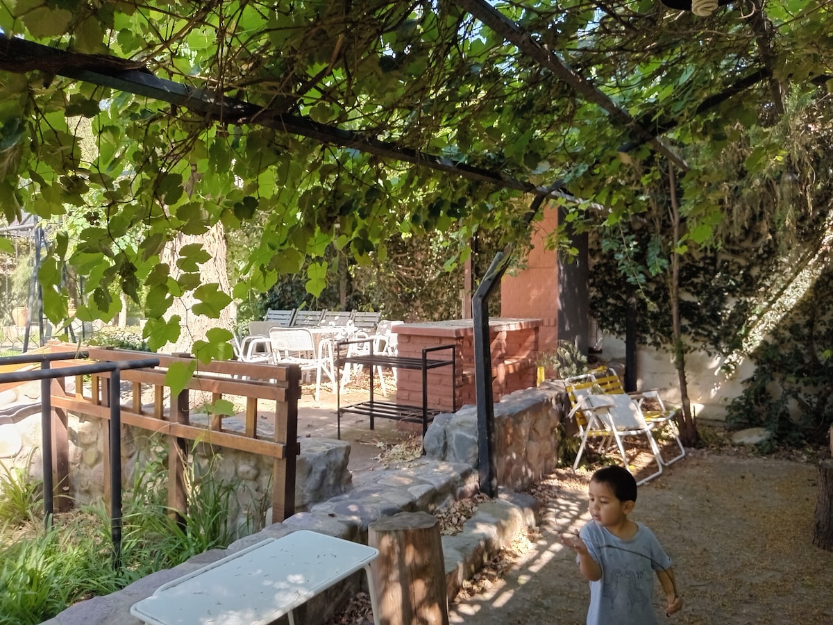 A shaded outdoor space features a grapevine-covered pergola, providing a serene atmosphere. Several metal tables and chairs are arranged nearby on a natural surface. A stone pathway leads to an area with sun loungers, surrounded by greenery and a rustic stone wall.