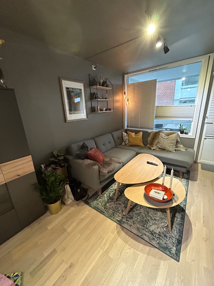Liten koselig leilighet Apartments for Rent in Stavanger, Rogaland
