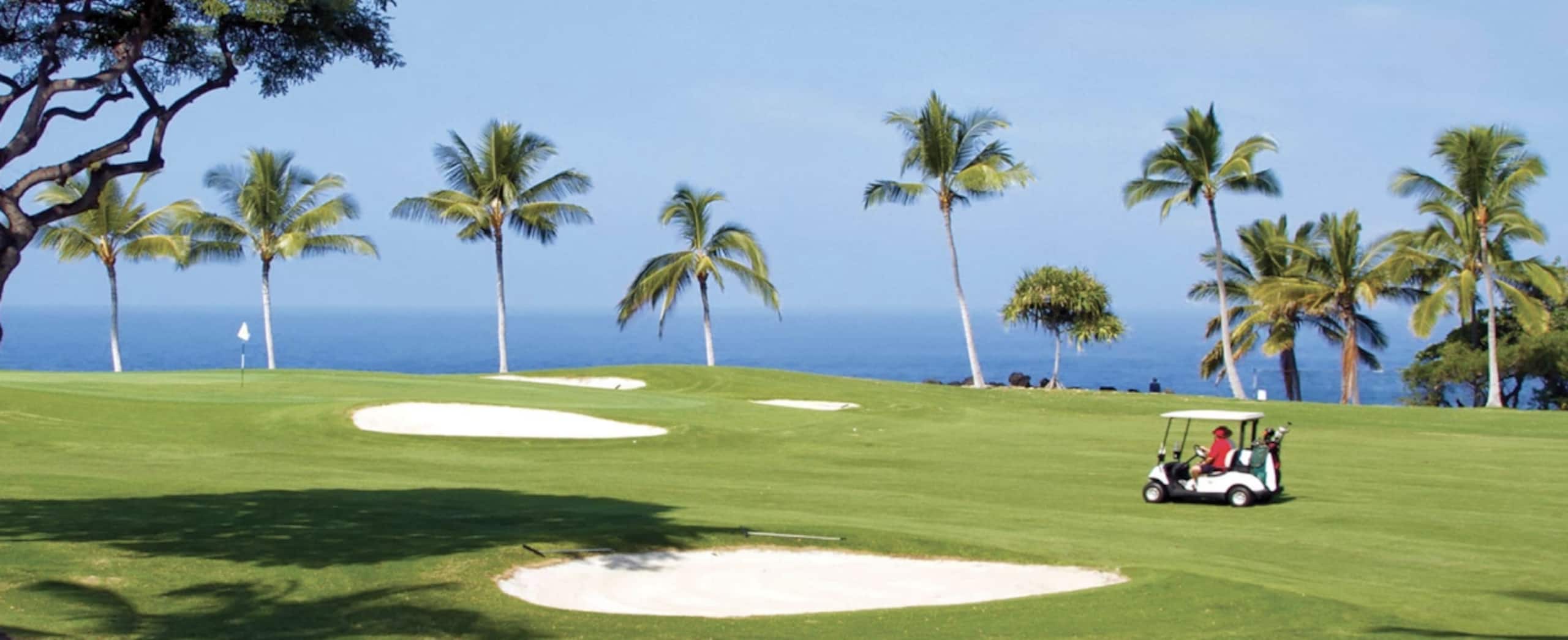 Resort in Princeville · ★5.0 · 2 bedrooms · 3 beds · 2 shared baths - Image 14