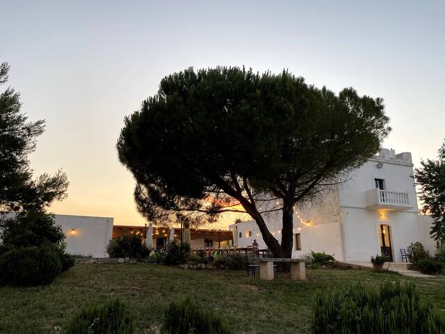 Agriturismo no stress gallery image 2