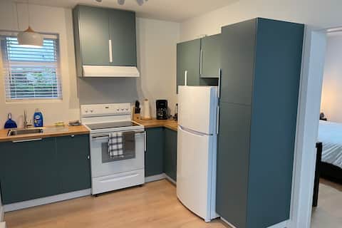 Successful Airbnb property: Large & bright semi-basement in Aylmer