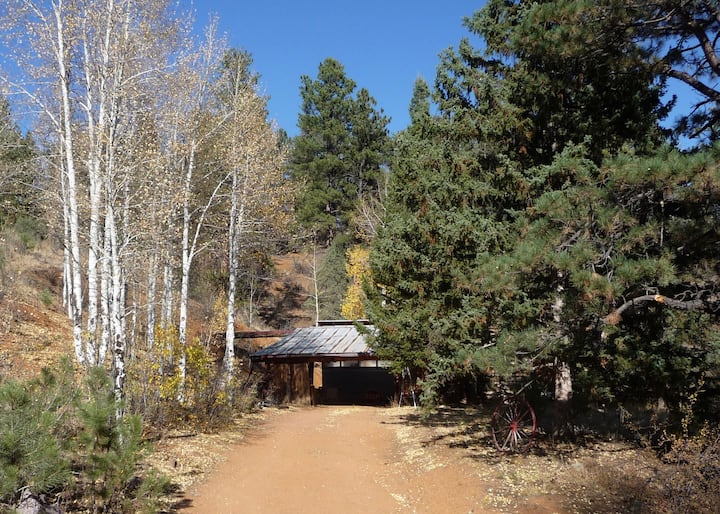 Prospector's cabin in Nat'l Forest Houses for Rent in Woodland Park