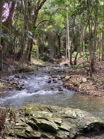 Sacres Acres gallery image 2