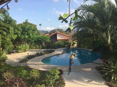 Airbnb - Tropical Vacation!