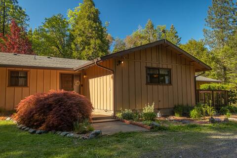 Family Home in the Woods