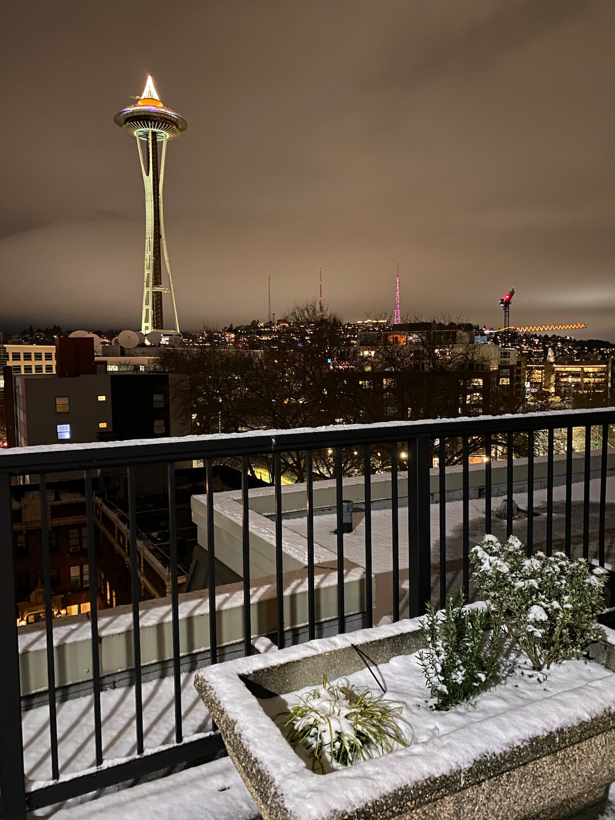 Belltown City Escape