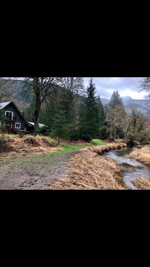 Burton Creek Cabin