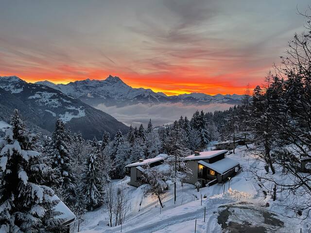 Million dollar view in Gryon