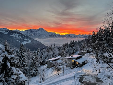 Million dollar view in Gryon