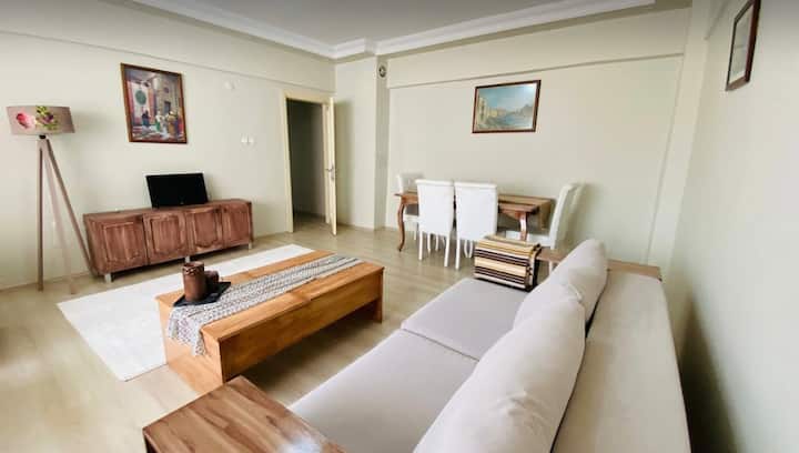 Central Location Large Apartment 24/7 Transportation