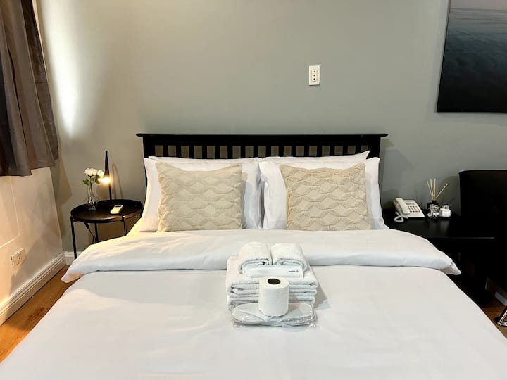 Newly Renovated Penthouse w/ Balcony Park View Apartments for Rent in