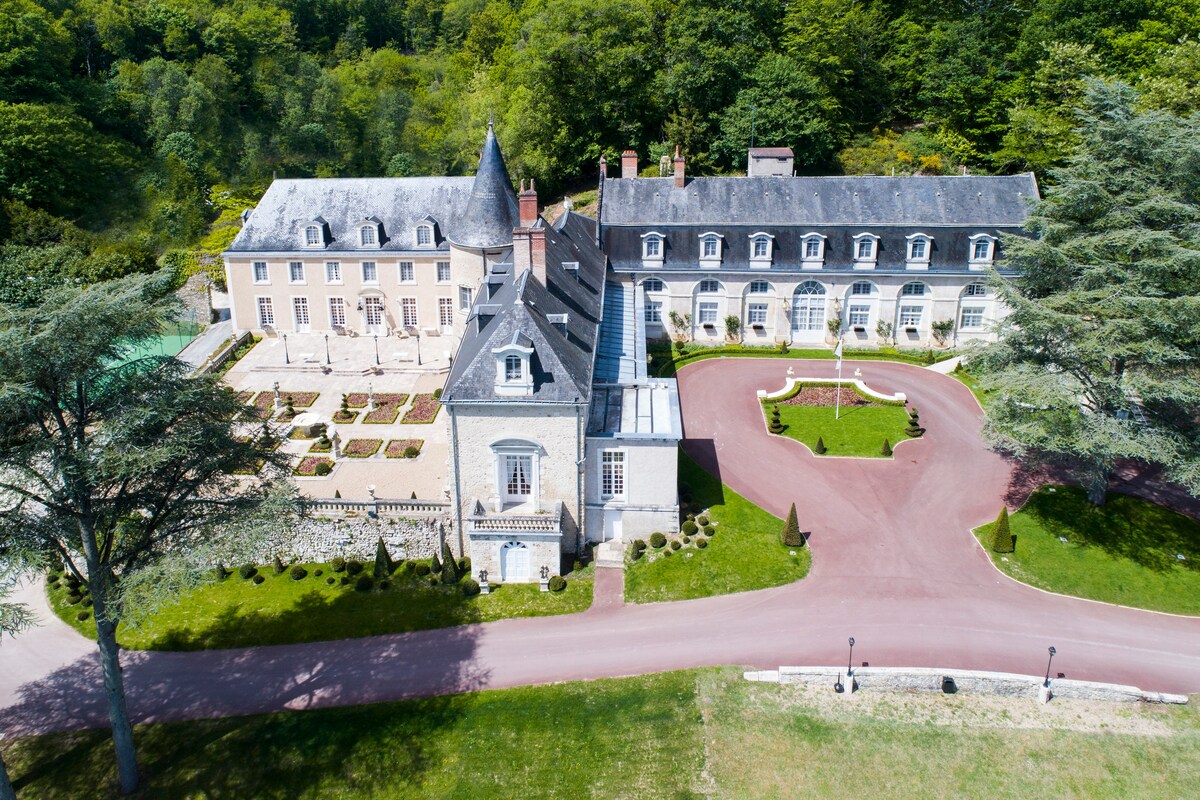 Aerial view of a grand château, showcasing a well-manicured landscape with symmetrical gardens and manicured hedges. The surrounding trees provide a natural backdrop, while the structure's architectural features and roofs create a sense of elegance. A winding driveway leads to the entrance.