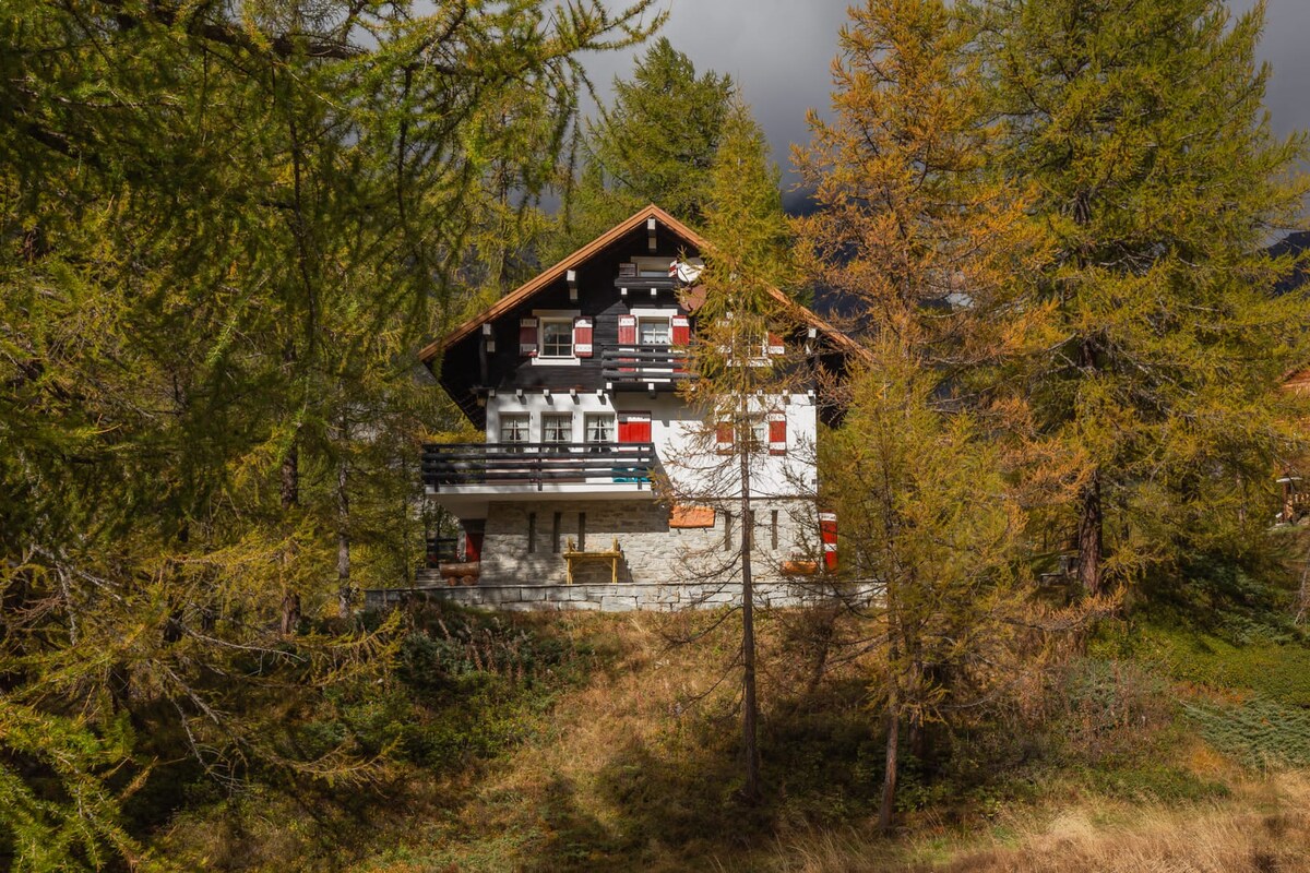 The apartment is nestled among trees, with a rustic facade showcasing dark wood and light stone elements. Balconies adorned with red shutters provide a charming touch. Surrounding foliage reflects autumn colors, enhancing the natural setting that invites a serene atmosphere.