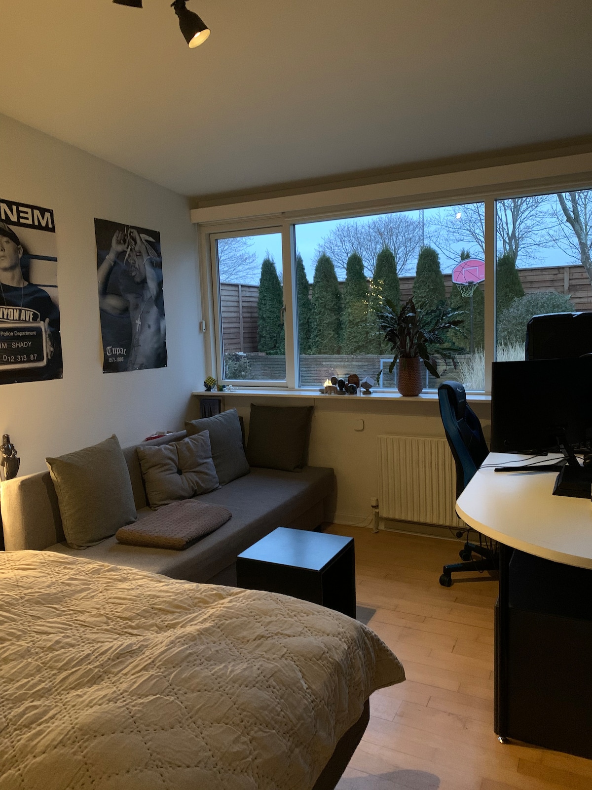 A spacious bedroom features a large bed covered with a light quilt. A comfortable couch sits by the window, complemented by a small coffee table. A potted plant adds a touch of greenery, while a desk with a computer is positioned opposite the bed.