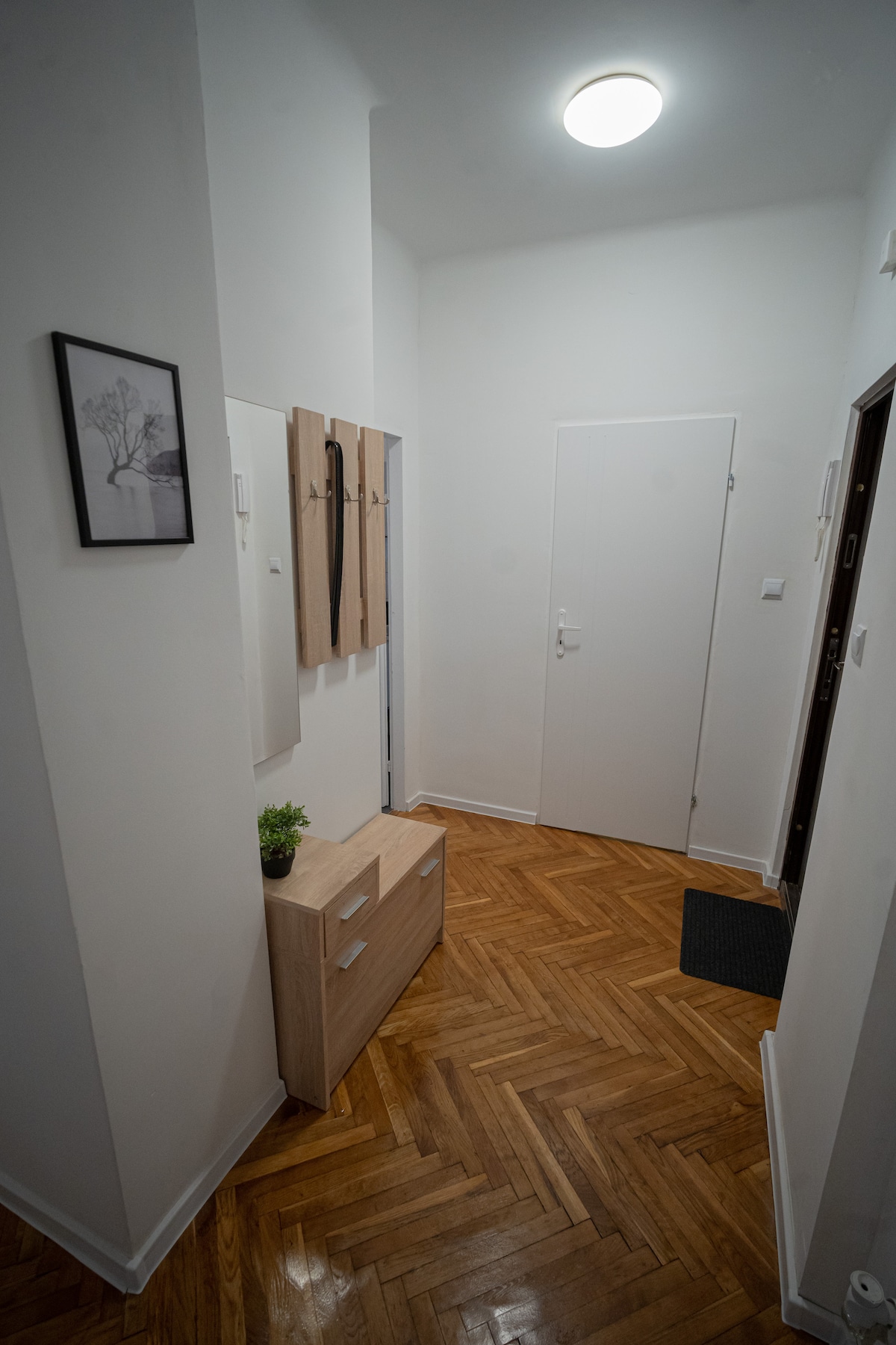 A bright hallway is presented, showcasing a smooth parquet floor and white walls. A small wooden cabinet is positioned under a wall-mounted coat rack. A framed artwork is displayed beside the entrance door, contributing to the functional and welcoming atmosphere of the space.
