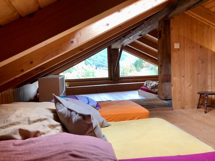 Habitación 2