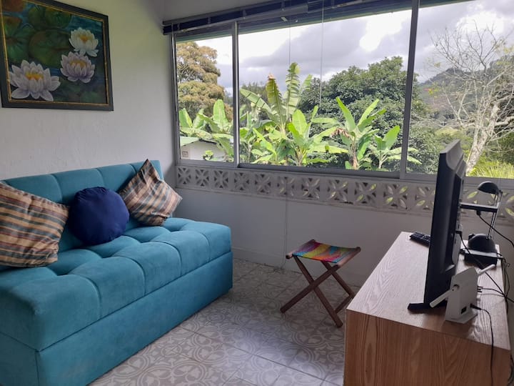 Sala de TV con sofá cama para 2 huéspedes más.