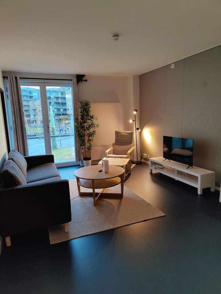 1 bedroom apartment at Solsiden Apartments for Rent in Trondheim