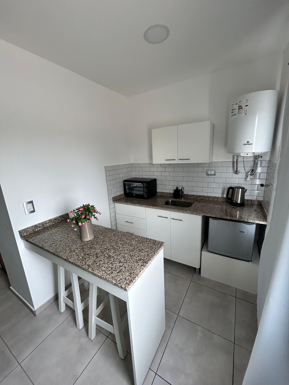 A compact kitchen area features light-coloured cabinetry and a granite countertop. Small appliances include a microwave, kettle, and a refrigerator. A potted plant adds a touch of greenery. The space is illuminated by natural light coming from a nearby window.