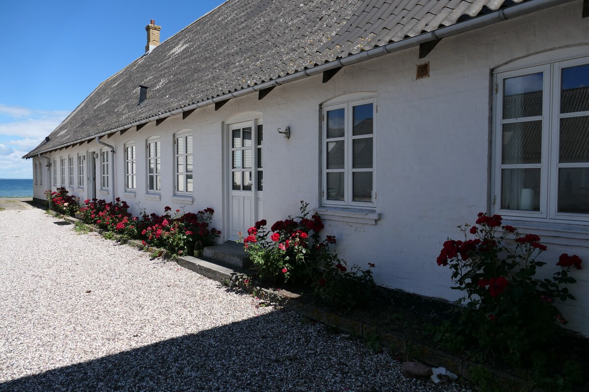 A bright white building is framed by flowering rose bushes in shades of red. Large windows are visible along the facade, offering views of the nearby sea. A gravel pathway leads to the entrance, creating a welcoming atmosphere.