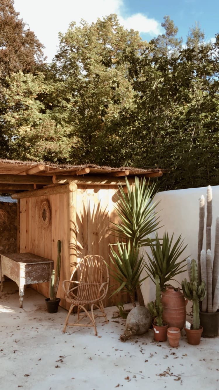 A charming outdoor area is shown, featuring a wooden structure beside lush greenery. A rustic chair is positioned next to various potted plants, including tall cacti and a terracotta pot. Sunlight filters through the trees, creating a warm atmosphere.