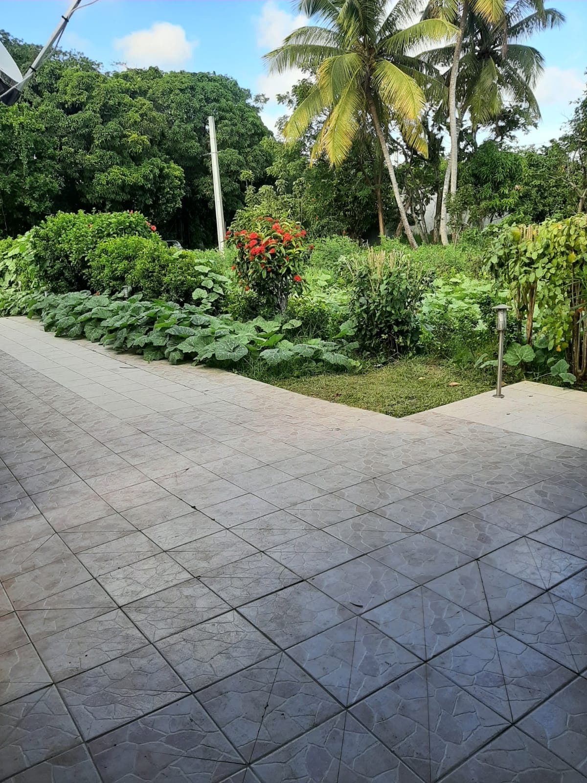 A spacious outdoor area is visible, featuring a tiled pathway leading to lush greenery. Various plants and shrubs create a serene and natural setting, complemented by palm trees swaying gently in the breeze. The well-maintained garden offers an inviting space for relaxation.