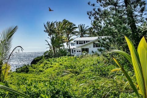 Popular Airbnb listing: Kehena Beach Oceanfront Retreat w/Heated Swim Spa in Seaview