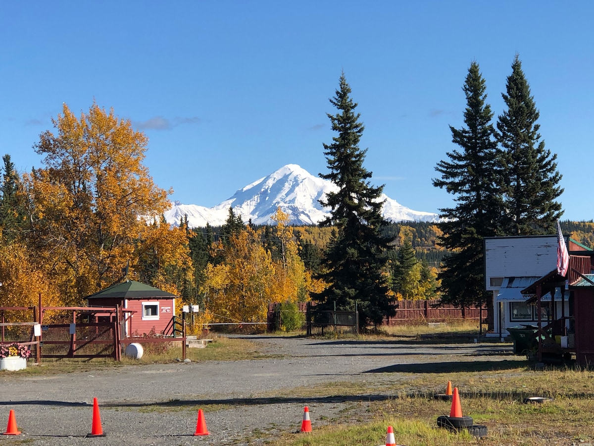 A view of snow-capped Mt. Drum is presented in the background against a clear blue sky. Vibrant autumn foliage in shades of yellow surrounds the area, while traffic cones are placed along a gravel parking area, leading to a red building on the right.
