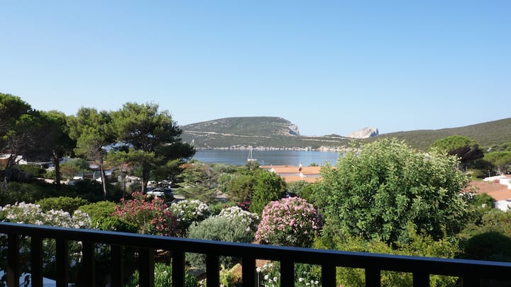 Villa Bouganvillea - Islas de Cerdeña