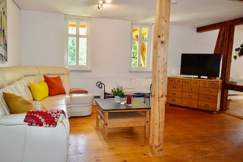 Top Airbnb: Vacation at the Sonnenhof in an apartment with a mountain view in Harz