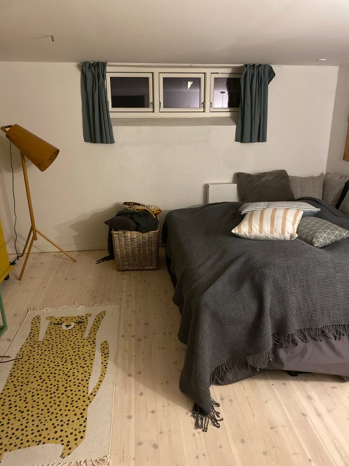 غرفة في الطابق السفلي. 