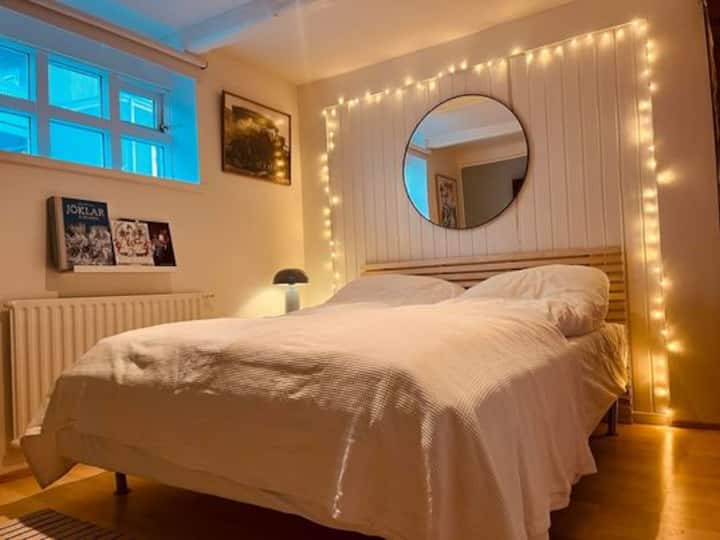 Cozy & private downtown bedroom Houses for Rent in Reykjavík, Iceland