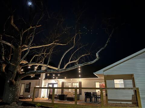 The Big Sycamore
